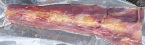 Schwanzwurzel vom Pferd ohne Fleisch, frisch - gefroren