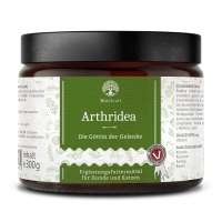 Arthridea – Die Göttin der Gelenke Arthridea – Die Göttin der Gelenke