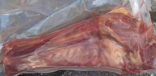 Schwanzwurzel vom Pferd mit Fleisch, frisch -gefroren
