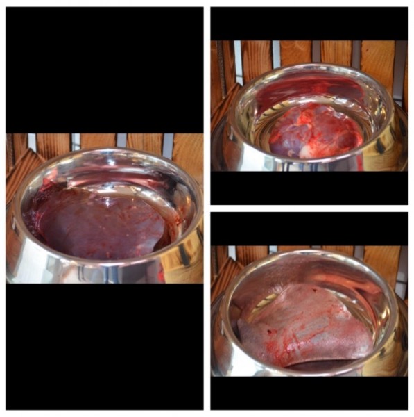Pferde-Innereien-Mix gewolft 1 KG